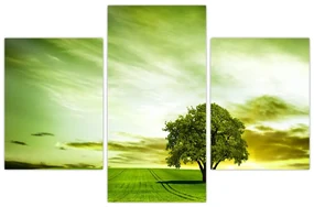Obraz - Strom života (90x60 cm)
