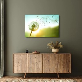 Obraz - Púpava vo vetre (90x60 cm)