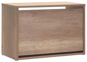 Adore Furniture Skrinka na topánky 42x60 cm hnedá AD0115