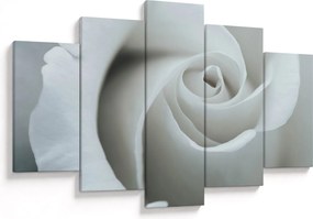 Obraz - Biela ruža (150x105 cm)