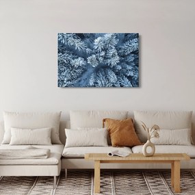 Obraz - Zasnežený les (90x60 cm)