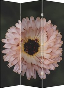 Paraván - Oranžová kvetina (126x170 cm)