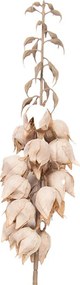 Dekorácia umelá kvetina Yucca s béžovými kvetmi - 12*12*100 cm