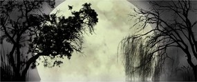 Obraz - Spln nad hladinou, čiernobiely variant (120x50 cm)