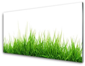 Obraz plexi Tráva príroda rastlina 140x70 cm