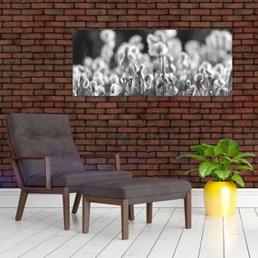 Obraz - Letná lúka (120x50 cm)