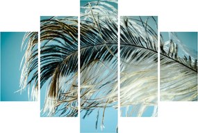 Obraz pierka (150x105 cm)