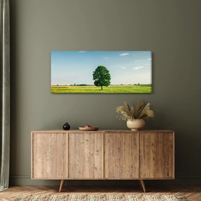 Obraz stromu na lúke (120x50 cm)