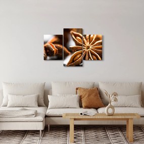 Obraz - Aníz (90x60 cm)