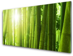 Obraz na akrylátovom skle Bambus rastlina 125x50 cm