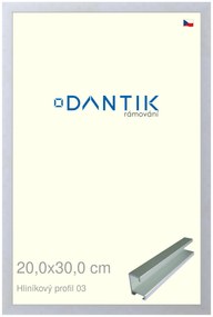 DANTIK rám na obraz 20x30 | ALU Stříbrná matná (Sklo Čiré)