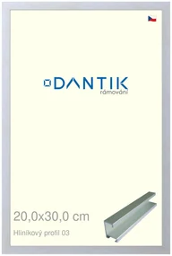 DANTIK rám na obraz 20x30 | ALU Stříbrná matná (Sklo Čiré)