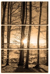 Obraz na plátne - Jesenné ráno v lese - obdĺžnik 7251FB (90x60 cm  )