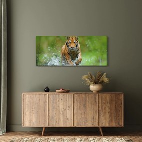 Obraz - Bežiaci tiger (120x50 cm)