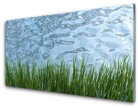 Skleneny obraz Tráva voda príroda 125x50 cm