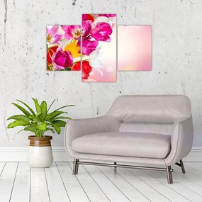 Obraz tulipánov (90x60 cm)