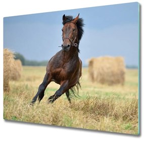 Sklenená doska na krájanie Kôň v cvale 60x52 cm