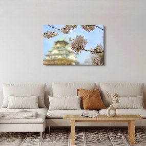 Obraz - Sakura (90x60 cm)