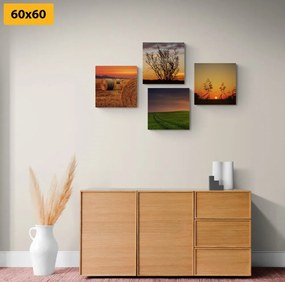 Set obrazov romantický západ slnka na lúke - 4x 60x60