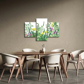 Obraz - Maľované lúčne kvety (90x60 cm)