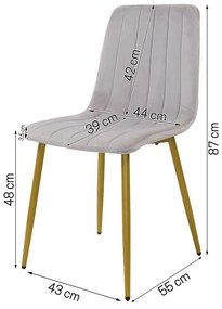 Dekorstudio Zamatová jedálenská stolička BELT svetlo sivá - zlaté nohy