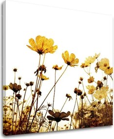 Obraz na stenu KVETY XOBKV143E12 - 60x60 cm