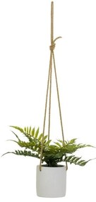 Umelá rastlina (výška 24 cm) – Casa Selección