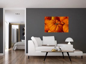Obraz - Veľké tekvice (90x60 cm)