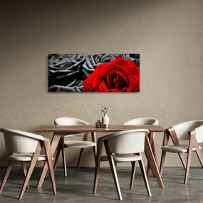 Obraz - Kvety ruží (120x50 cm)