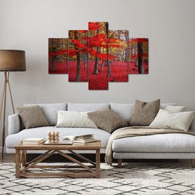 Obraz - Červený les (150x105 cm)
