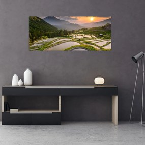 Obraz - Ryžové terasy (120x50 cm)