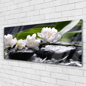 Obraz na akrylátovom skle Kvet kamene 125x50 cm