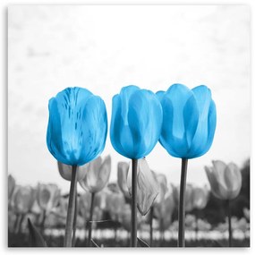 Gario Obraz na plátne Modré tulipány Rozmery: 60 x 60 cm