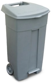 Popolnica na odpadky, sivá
