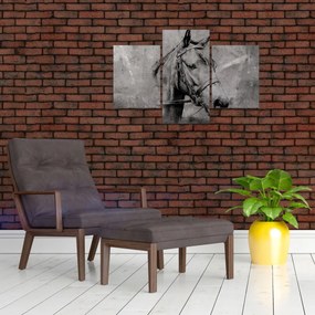 Obraz - Portrét koňa (90x60 cm)
