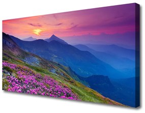 Obraz na plátne Hory lúka kvety príroda 120x60 cm