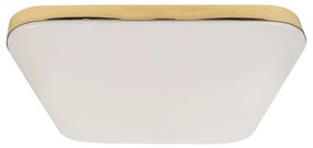 Stropné LED svietidlo Nemo, 1x LED 17w, 4000k, g