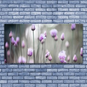 Obraz plexi Poľné kvety lúka príroda 120x60 cm