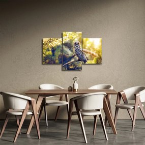 Obraz sovy na strome (90x60 cm)