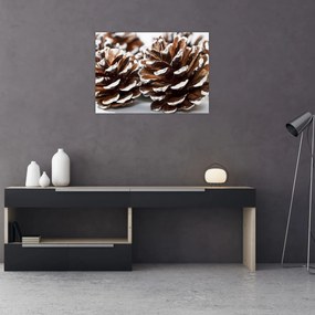 Sklenený obraz - Šišky (70x50 cm)