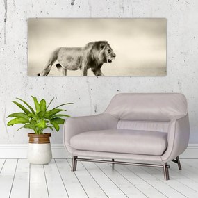 Obraz - Hladný lev (120x50 cm)