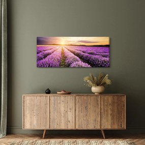 Obraz - Východ slnka v levanduľovom poli (120x50 cm)
