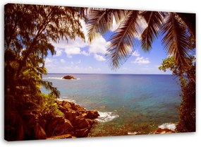 Obraz na plátně Palmy Skalnatá pláž - 100x70 cm