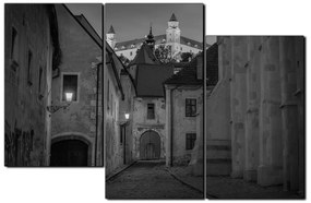 Obraz na plátne - Bratislava staré mesto s hradom vzadu 1265QD (90x60 cm)