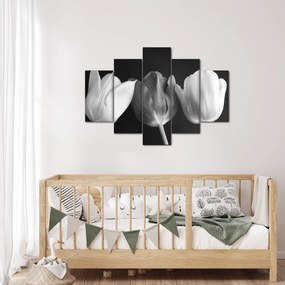 Obraz - Čiernobiele kvety tulipánov (150x105 cm)