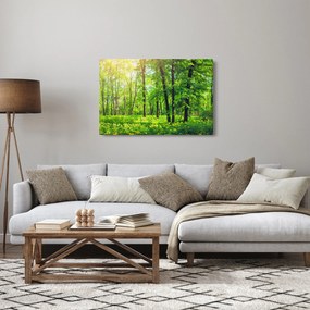 Obraz - Jarný listnatý les (90x60 cm)