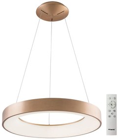 Azzardo AZ5013 - LED Stmievateľný luster na lanku SANTANA LED/80W/230V zlatá + DO