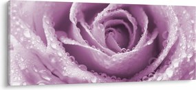 Obraz detailu kvetu ruže (120x50 cm)