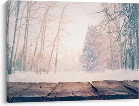 Obraz - Výhľad do lesa (70x50 cm)