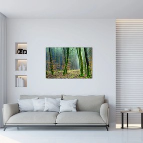 Obraz lesa (90x60 cm)